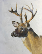Load image into Gallery viewer, Deer - A2 Canvas Print