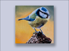 Load image into Gallery viewer, Blue Tit - Canvas Wall Art Print
