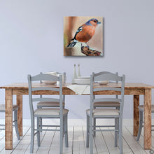 Load image into Gallery viewer, Chaffinch - Canvas Wall Art Print