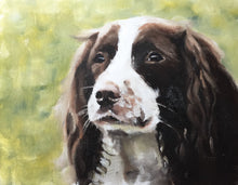 Load image into Gallery viewer, Spaniel dog Painting - Dog art - Dog Print - Fine Art - from original oil painting by James Coates