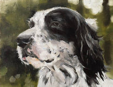 Load image into Gallery viewer, Spaniel Dog Painting, Prints, Canvas, Posters, Originals, Commissions, Fine Art - from original oil painting by James Coates