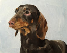 Load image into Gallery viewer, Dachshund Painting, Prints, Canvas, Posters, Originals, Commissions, Fine Art - from original oil painting by James Coates
