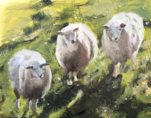 Load image into Gallery viewer, Sheep Painting, Sheep Poster, Sheep Wall art, Sheep Canvas Print, Sheep Fine Art - from original oil painting by James Coates