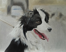 Load image into Gallery viewer, Collie Dog Painting, Prints, Canvas, Posters, Originals, Commissions, Fine Art - from original oil painting by James Coates
