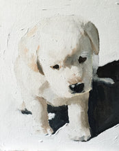 Load image into Gallery viewer, Puppy Painting, Print, Canvas, Posters, Originals, Commissions, Fine Art - from original oil painting by James Coates