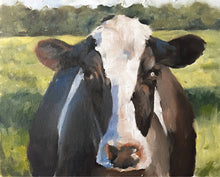 Load image into Gallery viewer, Cow Painting, Prints, Canvas, Posters, originals, Commissions, Fine Art - from original oil painting by James Coates