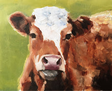 Load image into Gallery viewer, Cow Painting - Cow art - Cow Print - Fine Art - from original oil painting by James Coates