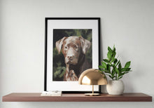 Load image into Gallery viewer, Chocolate Labrador- Painting -Wall art - Canvas Print - Fine Art - from original oil painting by James Coates