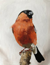 Load image into Gallery viewer, Bullfinch bird - Painting - Poster - Wall art - Canvas Print - Fine Art - from original oil painting by James Coates