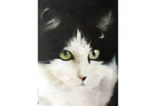 Load image into Gallery viewer, Cat Painting, PRINTS, Canvas, Posters, Originals, Commission - Fine Art, from original oil painting by James Coates