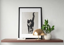 Load image into Gallery viewer, Cat Painting, cat Poster, Wall art ,Canvas Print - Fine Art - from original oil painting by James Coates