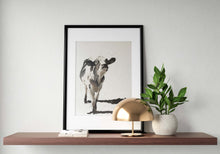 Load image into Gallery viewer, Cow Painting, PRINTS, Canvas, Poster, Commissions, Fine Art - from original oil painting by James Coates