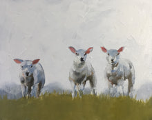 Load image into Gallery viewer, Sheep Painting, sheep Poster, Wall art ,Canvas Print - Fine Art - from original oil painting by James Coates