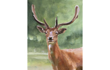 Load image into Gallery viewer, Stag Painting, deer Poster, Wall art, Canvas Print, Fine Art - from original oil painting by James Coates