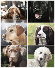 Load image into Gallery viewer, Dog Painting , PRINTS, Canvas, Posters, Commissions, Professional art - Fine Art - from original oil painting by James Coates