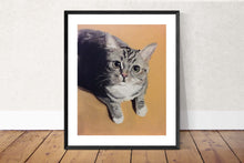Load image into Gallery viewer, Cute Cat Painting, PRINTS, Canvas, Poster, Commissions, Fine Art - from original oil painting by James Coates