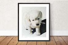 Load image into Gallery viewer, Puppy Painting, Print, Canvas, Posters, Originals, Commissions, Fine Art - from original oil painting by James Coates