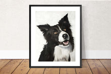 Load image into Gallery viewer, Collie dog - Painting -Dog art - Dog Prints - Fine Art - from original oil painting by James Coates