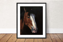 Load image into Gallery viewer, Horse Painting, Poster, Prints, Commissions, Fine Art - from original oil painting by James Coates