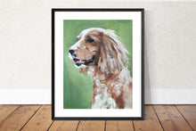 Load image into Gallery viewer, Spaniel Dog Painting, Prints, Posters, Originals, Commissions, Fine Art - from original oil painting by James Coates