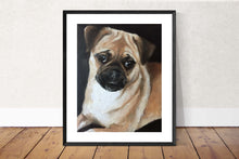 Load image into Gallery viewer, Pug Dog Painting, Prints, Posters, Originals, Commissions, Fine Art - from original oil painting by James Coates