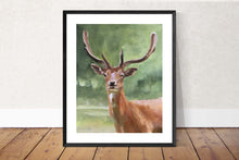 Load image into Gallery viewer, Stag Painting, deer Poster, Wall art, Canvas Print, Fine Art - from original oil painting by James Coates