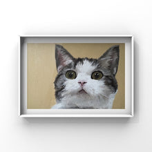 Load image into Gallery viewer, Cat Painting, cat Poster, Wall art , cat Canvas Print, Fine Art, from original oil painting by James Coates