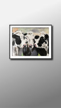 Load image into Gallery viewer, 3 Black and White Cows Painting, Prints, Canvas, Posters, Commissions, Fine Art - from original oil painting by James Coates