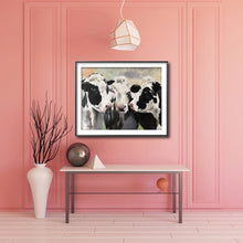 Load image into Gallery viewer, 3 Black and White Cows Painting, Prints, Canvas, Posters, Commissions, Fine Art - from original oil painting by James Coates