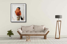 Load image into Gallery viewer, Bullfinch bird - Painting - Poster - Wall art - Canvas Print - Fine Art - from original oil painting by James Coates