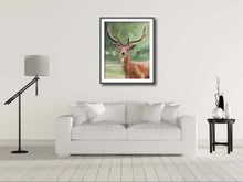 Load image into Gallery viewer, Stag Painting, deer Poster, Wall art, Canvas Print, Fine Art - from original oil painting by James Coates