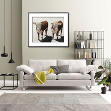 Load image into Gallery viewer, Cows Painting - Cow art - Cow Print - Fine Art - from original oil painting by James Coates