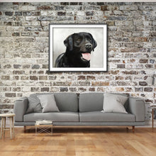 Load image into Gallery viewer, Black Labrador - Painting - Dog art - Dog Print - Fine Art - from original oil painting by James Coates