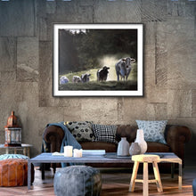 Load image into Gallery viewer, Cows Painting, cow art , Cow Print ,Fine Art - from original oil painting by James Coates