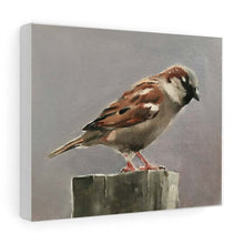 Load image into Gallery viewer, Bird Painting, Bird Poster , Bird Wall art, Bird Canvas, bird Print , Fine Art - from original oil painting by James Coates