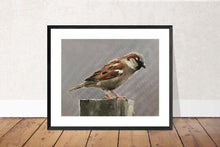 Load image into Gallery viewer, Bird Painting, Bird Poster , Bird Wall art, Bird Canvas, bird Print , Fine Art - from original oil painting by James Coates