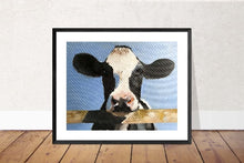 Load image into Gallery viewer, Cow Painting, Cow art, Cow Print, Fine Art - from original oil painting by James Coates