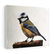 Load image into Gallery viewer, Bird Painting, Bird Poster , Bird Wall art, Bird Canvas, bird Print , Fine Art - from original oil painting by James Coates