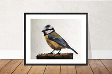 Load image into Gallery viewer, Bird Painting, Bird Poster , Bird Wall art, Bird Canvas, bird Print , Fine Art - from original oil painting by James Coates