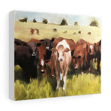 Load image into Gallery viewer, Cows Painting, Cow art, Cow Print, Fine Art - from original oil painting by James Coates