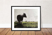 Load image into Gallery viewer, Cow Painting, Cow art, Cow Print ,Fine Art ,from original oil painting by James Coates