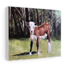 Load image into Gallery viewer, Cow Painting, Cow art, Cow Print ,Fine Art ,from original oil painting by James Coates