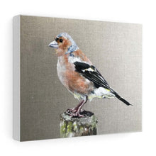 Load image into Gallery viewer, Bird Painting, Bird Poster , Bird Wall art, Bird Canvas, bird Print , Fine Art - from original oil painting by James Coates