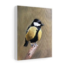 Load image into Gallery viewer, Bird Painting, Bird Poster , Bird Wall art, Bird Canvas, bird Print , Fine Art - from original oil painting by James Coates