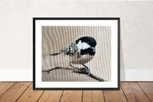 Load image into Gallery viewer, Bird Painting, Bird Poster , Bird Wall art, Bird Canvas, bird Print , Fine Art - from original oil painting by James Coates