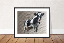 Load image into Gallery viewer, Cow Painting,PRINT, Canvas, Commissions , Cow art, ,Fine Art ,from original oil painting by James Coates