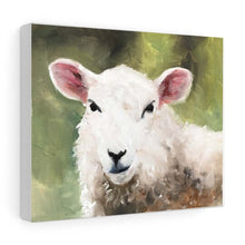 Load image into Gallery viewer, Sheep Painting, sheep art, Sheep Print ,Fine Art ,from original oil painting by James Coates