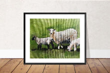 Load image into Gallery viewer, Sheep Painting, sheep art, Sheep Print ,Fine Art ,from original oil painting by James Coates