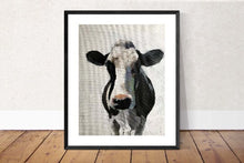 Load image into Gallery viewer, Cow Painting ,Poster, Wall art, Prints, Commissions, Fine Art - from original oil painting by James Coates