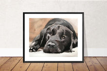Load image into Gallery viewer, Labrador Dog Painting,Prints, Canvas, Posters, Originals, Commissions, Fine Art , from original oil painting by James Coates